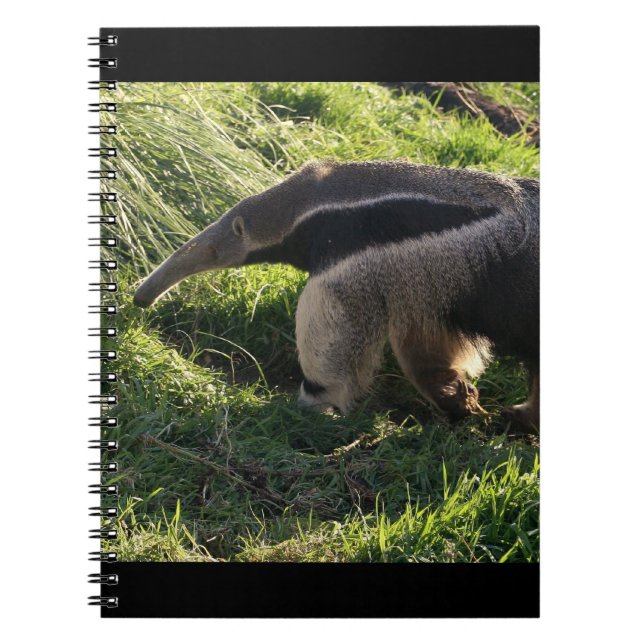 Giant Anteater Notebook (Front)