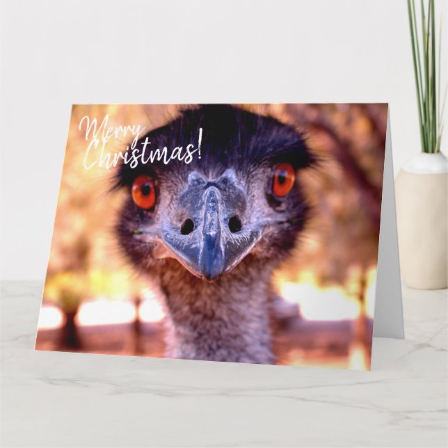 Giant Australian Christmas Card EMU (Front)
