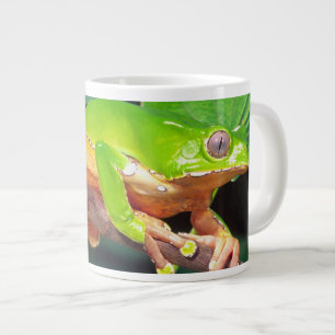 Giant Bicolor Monkey Treefrog, Phyllomedusa Large Coffee Mug