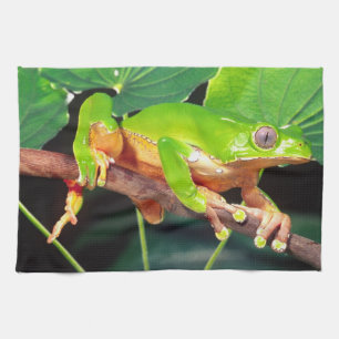 Giant Bicolor Monkey Treefrog, Phyllomedusa Tea Towel