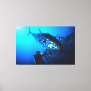 Giant Bluefin Tuna Caught in a Net Canvas Print