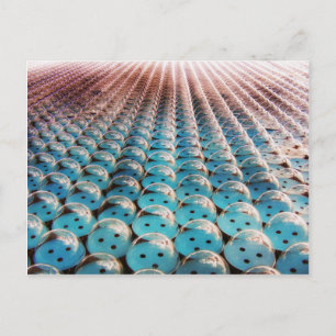 Giant Bubble Wrap Postcard