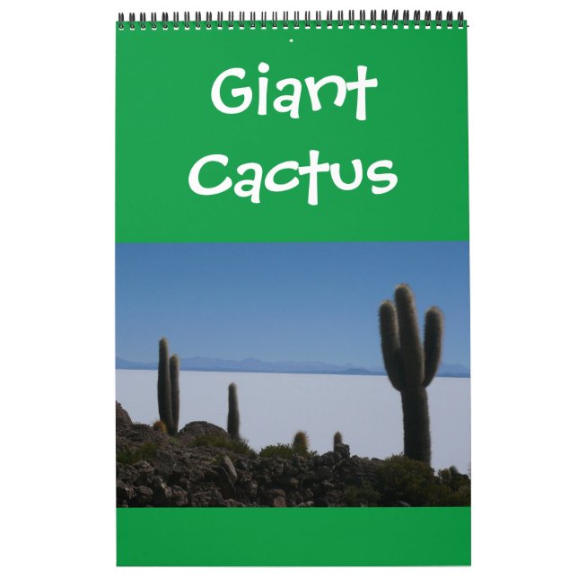 giant cacti calendar (Cover)