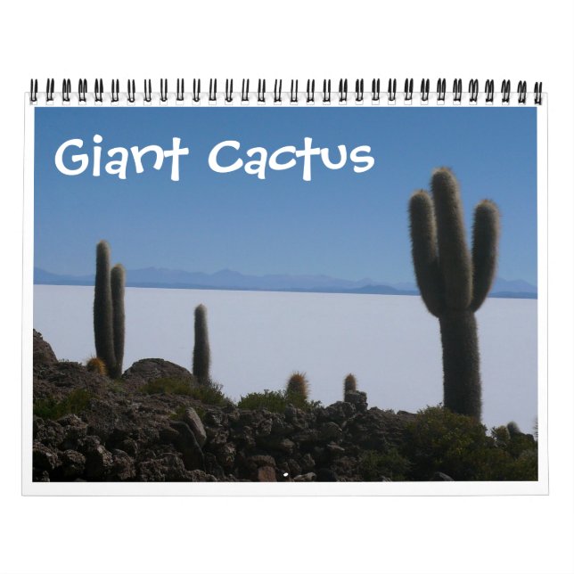 giant cactus 2027 calendar (Cover)