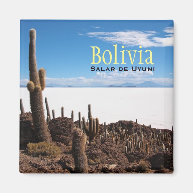 Giant cactus at the Salar de Uyuni text magnet (Front)