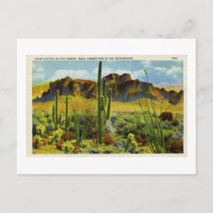 Giant Cactus in Desert Vintage Postcard Landscape