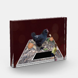 Giant Chicken Eating The Eggs Popout Art, Photo Block