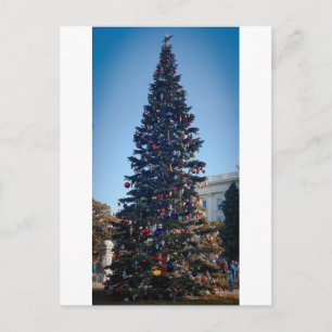 Giant Christmas Tree Holiday Family Tradition Postcard