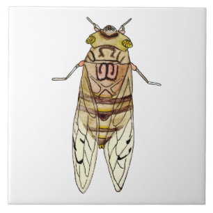 Giant Cicada Tile