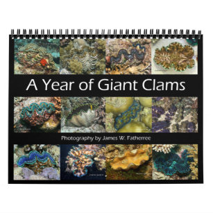 Giant Clams Wall Calendar 2 by James W. Fatherree.