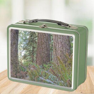 Giant Conifer Forest Photo Metal Lunch Box