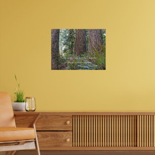 Giant Conifer Forest Photo with John Muir Quote Poster