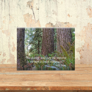 Giant Conifer Forest with John Muir Quote Photo Block
