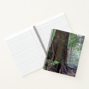 Giant Conifers in a Forest Notebook