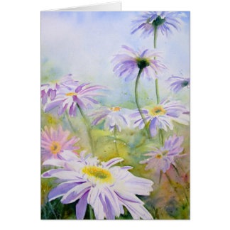 Giant Daisies