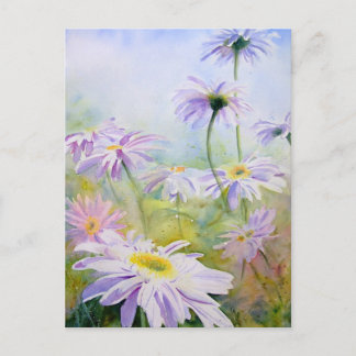 Giant Daisies Postcard
