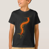 Giant Desert Centipede ; Cool Bug Hunter