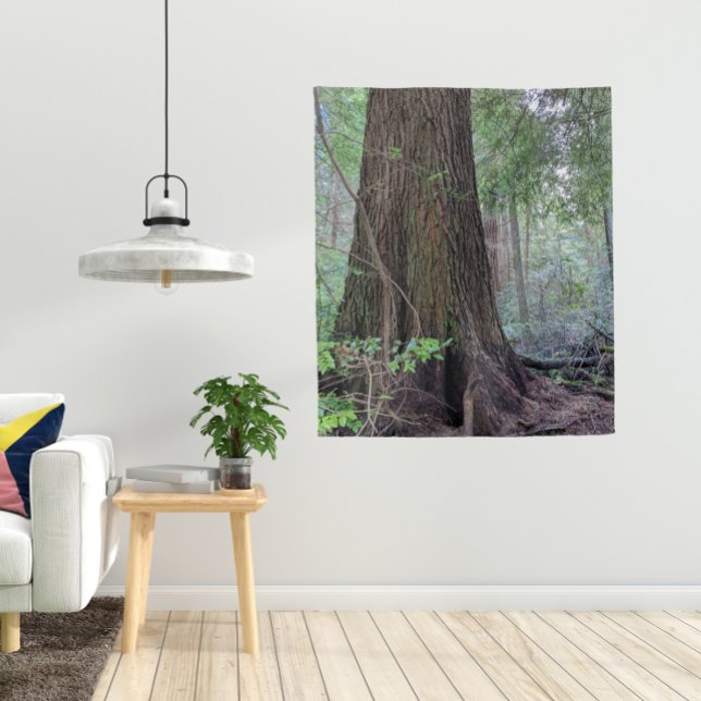 Giant Forest Conifer Tree Tapestry (In Situ (Lamp))