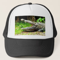 Giant gator with his mouth open
