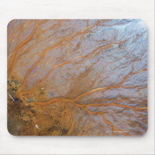 Giant gorgonian sea fan (Plexauridae sp.) Mouse Pad