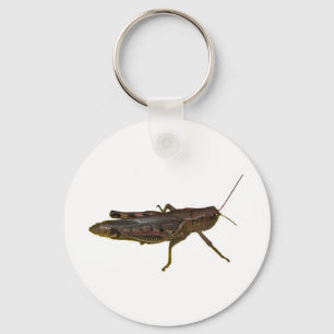 Giant Grasshopper Key Ring