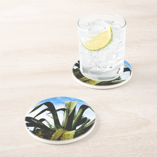 Giant Green Aloe Plant Coaster (Side)
