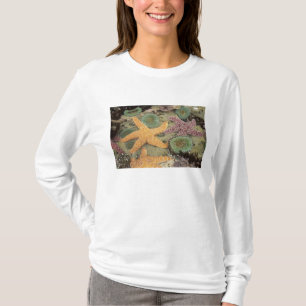 Giant green anemones and ochre sea stars T-Shirt