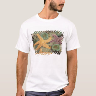 Giant green anemones and ochre sea stars T-Shirt