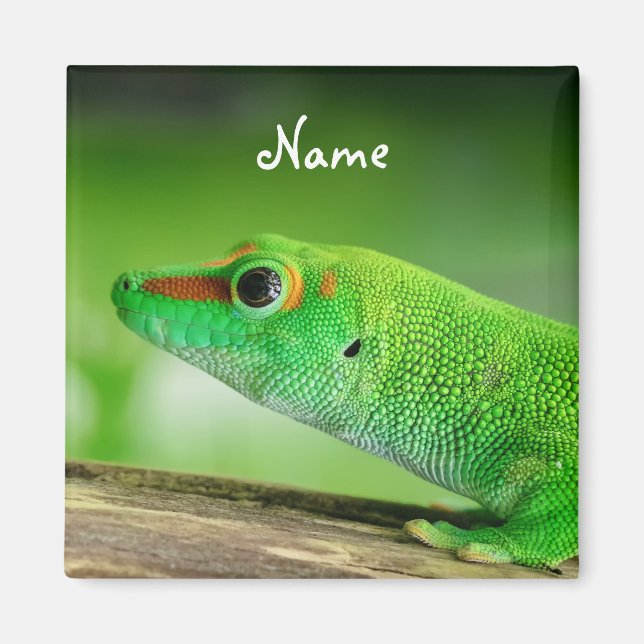 Giant Green Day Gecko - Phelsuma grandis  Magnet (Front)