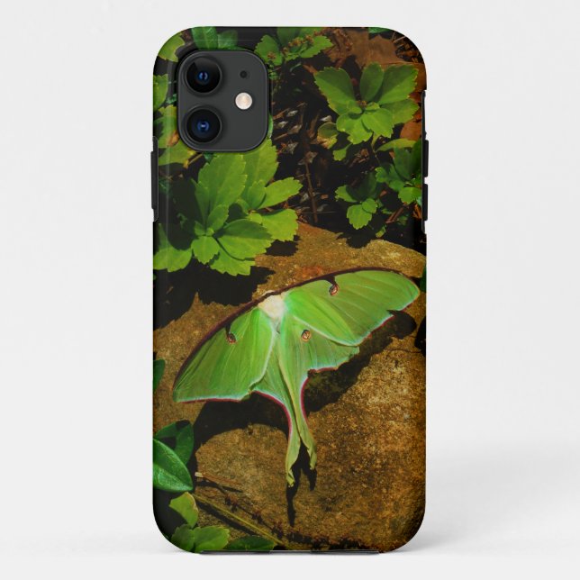 Giant Green Luna moth Case-Mate iPhone Case (Back)