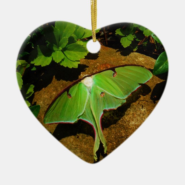 Giant Green Luna moth Ceramic Tree Decoration (Front)