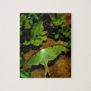 Giant Green Luna moth Jigsaw Puzzle