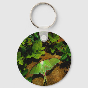 Giant Green Luna moth Key Ring