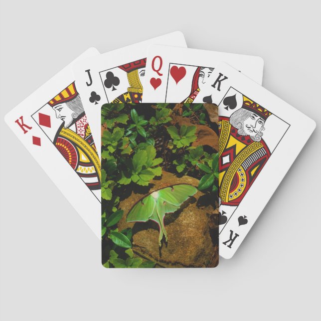 Giant Green Luna moth Playing Cards (Back)