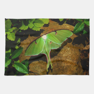 Giant Green Luna moth Tea Towel