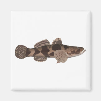 Giant Gudgeon Magnet