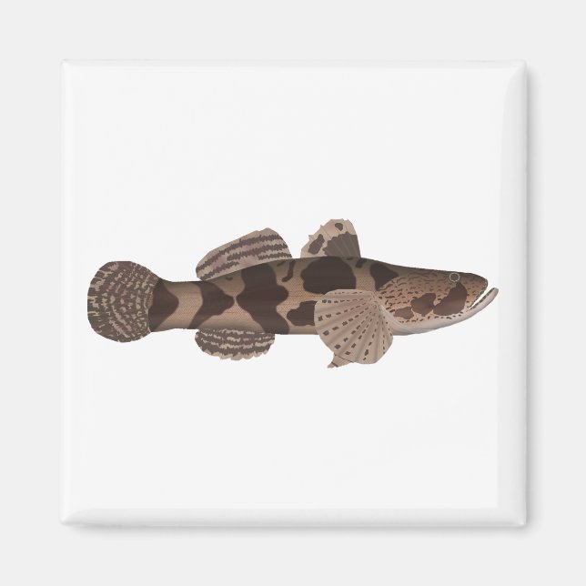 Giant Gudgeon Magnet (Front)