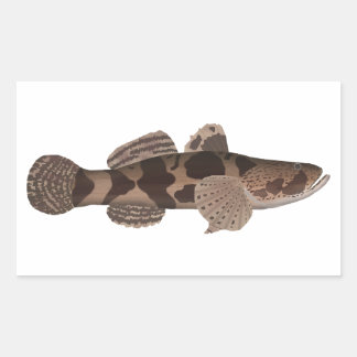 Giant Gudgeon Rectangular Sticker