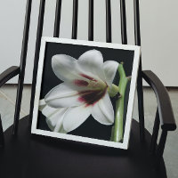 Giant Himalayan Lily Photo Glossy