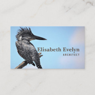 giant kingfisher bird watching business card