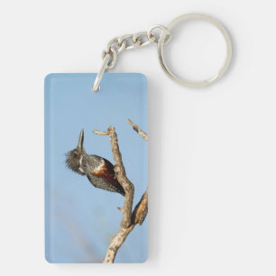 Giant Kingfisher Key Ring