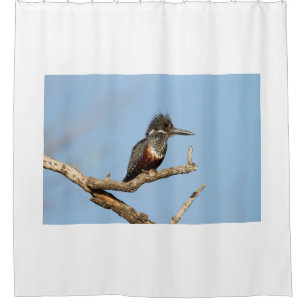 Giant Kingfisher Shower Curtain