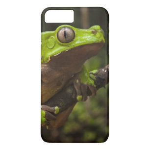Giant leaf frog Phyllomedusa bicolor) Case-Mate iPhone Case