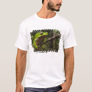 Giant leaf frog Phyllomedusa bicolor) T-Shirt