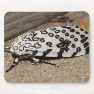 Giant Leopard Moth Mouse Pad
