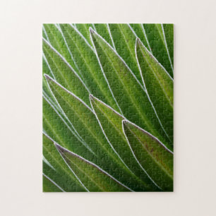 Giant Lobelia (Lobelia telekii)   Kenya, Africa Jigsaw Puzzle