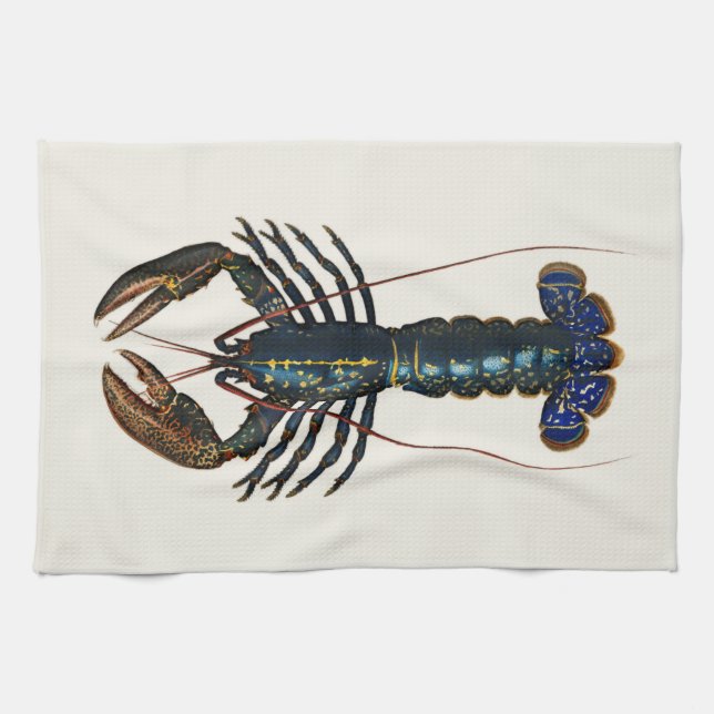 Giant Lobster - Vintage Illustration Tea Towel (Horizontal)