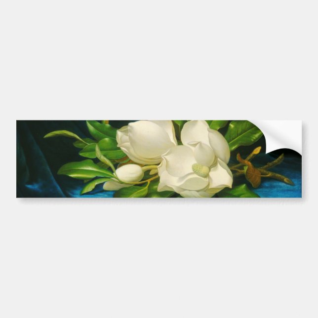 Giant Magnolias on a Blue Velet Cloth (Heade) Bumper Sticker (Front)