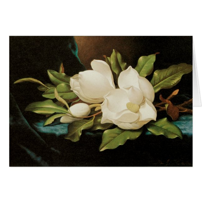 Giant Magnolias on a Blue Velvet Cloth by MJ Heade (Front Horizontal)