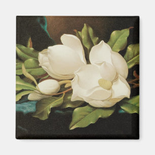 Giant Magnolias on a Blue Velvet Cloth by MJ Heade Magnet